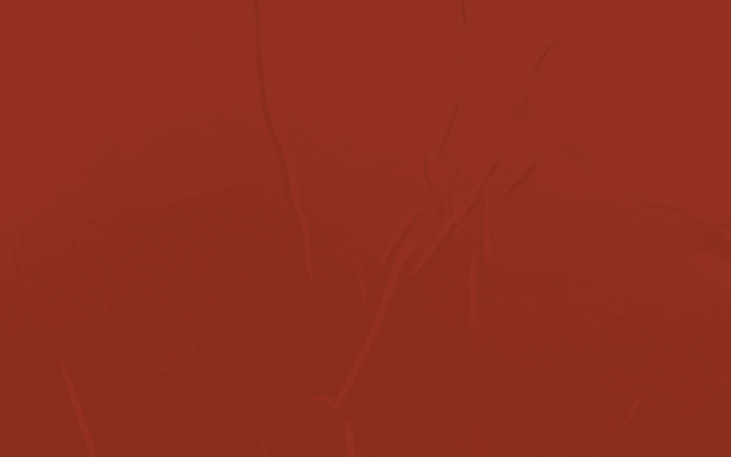 Church's Texas Chicken hero section background with decorative elements